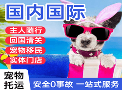 大庆空运公司国际宠物托运 【国
